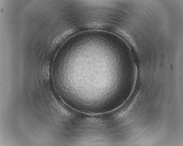 X0000089730633200706211434