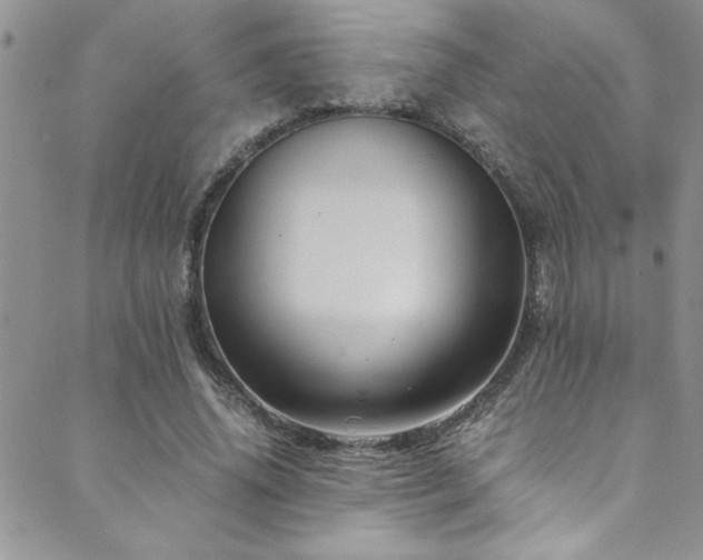 X0000089730636200706211434