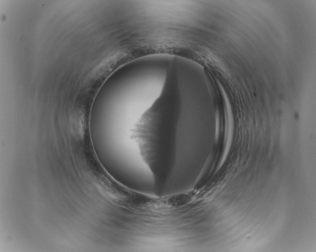 X0000089730644200706211435