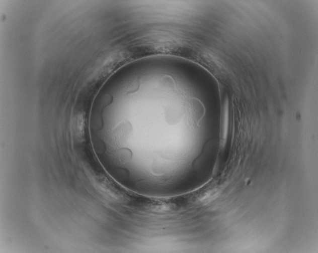 X0000089730646200706211435