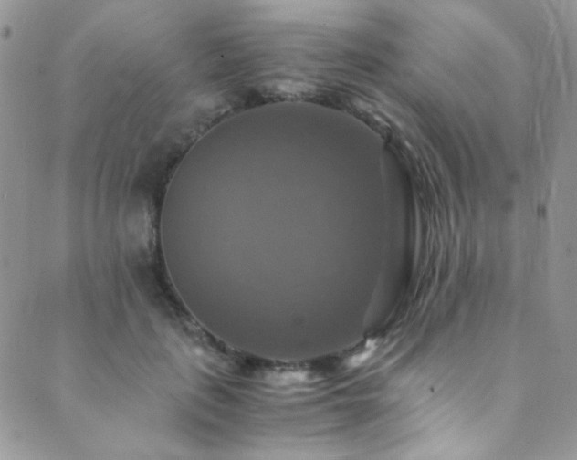 X0000089730651200706211435