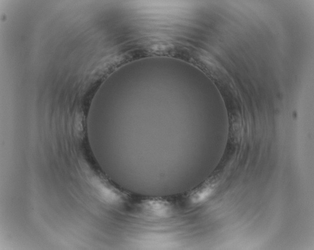 X0000089730654200706211435