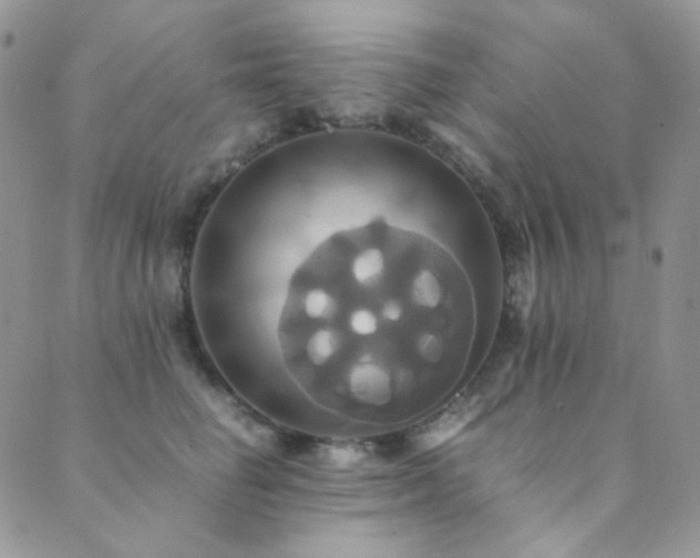 X0000089730662200706211435