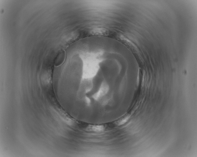 X0000089730665200706211435
