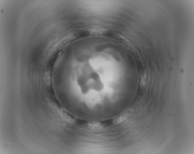 X0000089730666200706211435