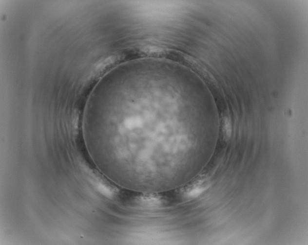 X0000089730668200706211435