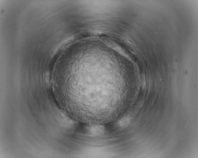 X0000089730670200706211435