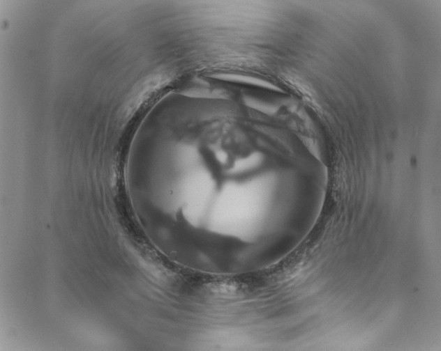 X0000089730687200706211434