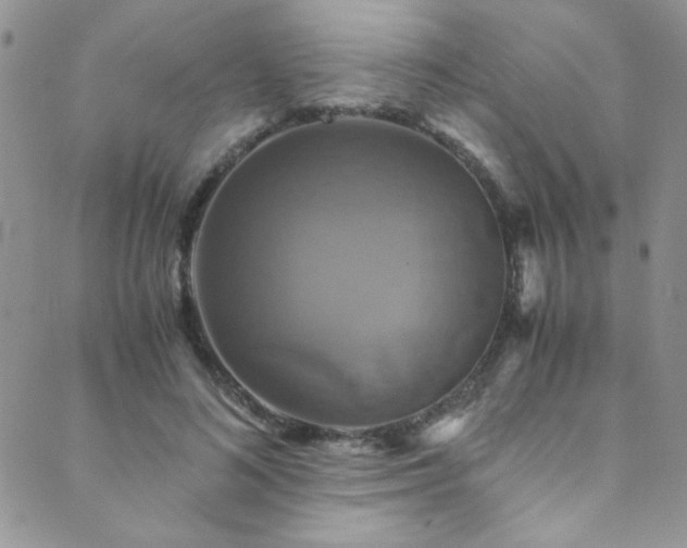 X0000089730692200706211434