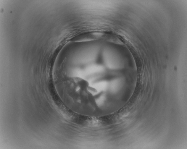 X0000089730695200706211434