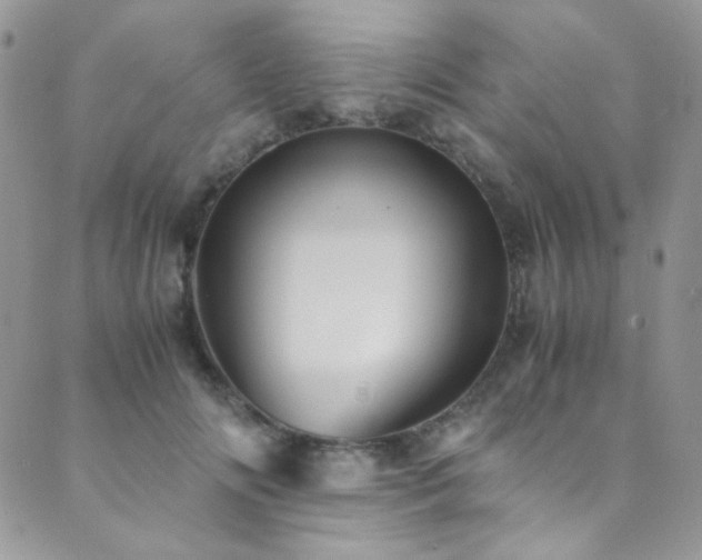 X0000089730702200706211434