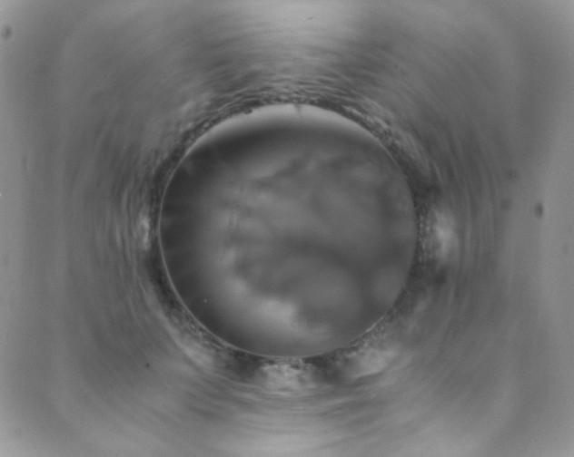 X0000089730703200706211434
