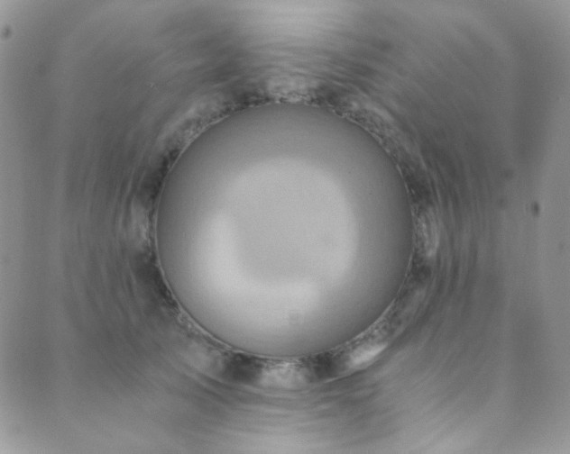 X0000089730705200706211434