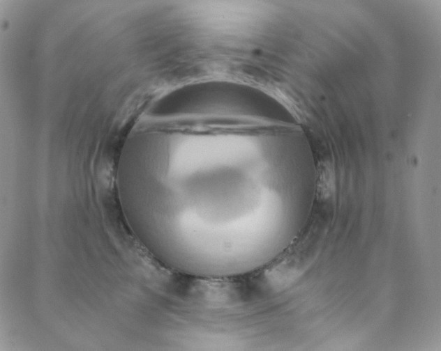 X0000089730713200706211434