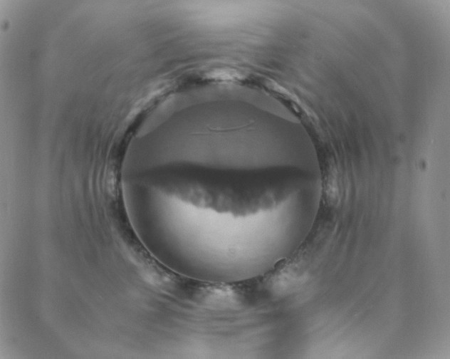 X0000089730715200706211434