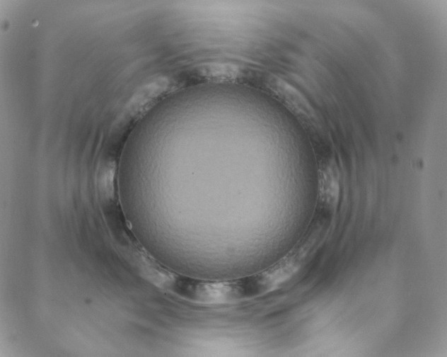 X0000089730717200706211433