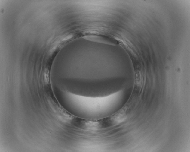 X0000089730718200706211433