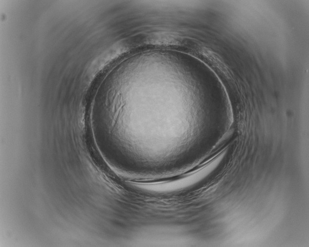X0000089730727200706211433