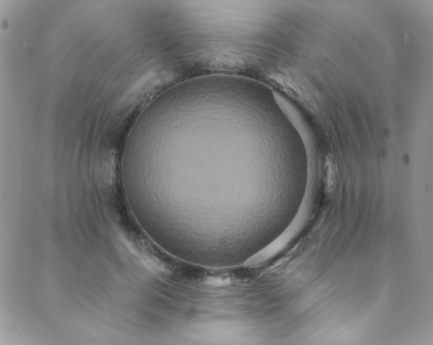 X0000089730744200706211433