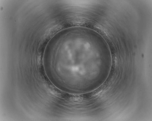 X0000089730745200706211433