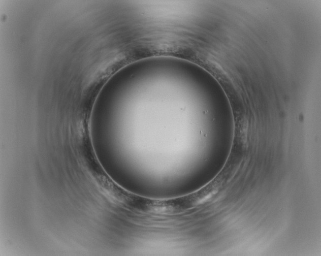 X0000089730746200706211433
