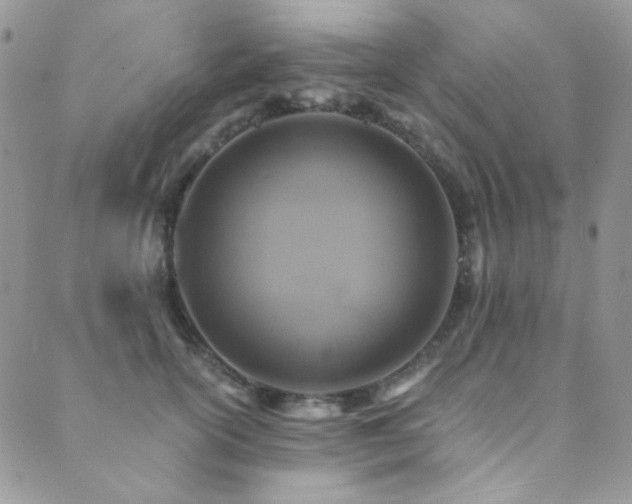 X0000089730754200706211433