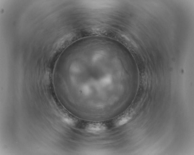 X0000089730757200706211433