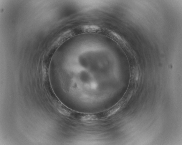 X0000089730761200706211433