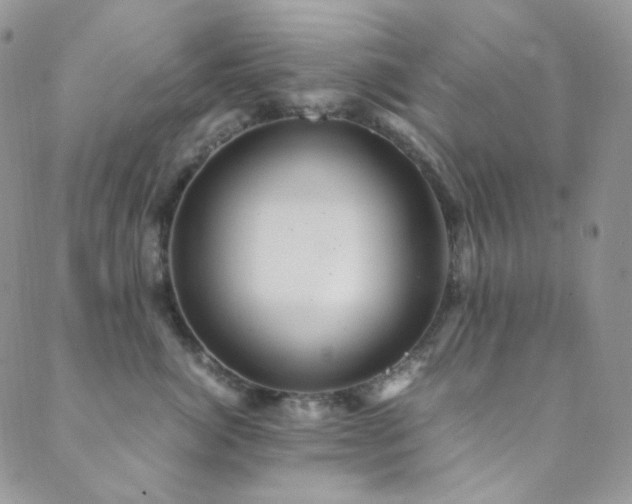 X0000089730764200706211433