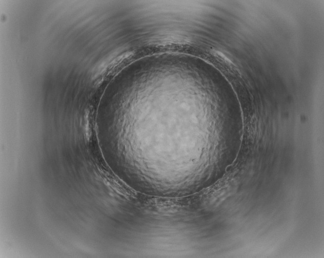 X0000089730774200706211433