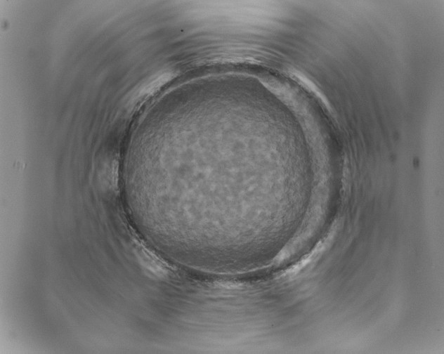 X0000089730777200706211432