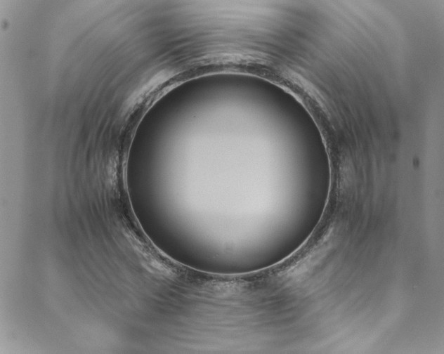 X0000089730778200706211432