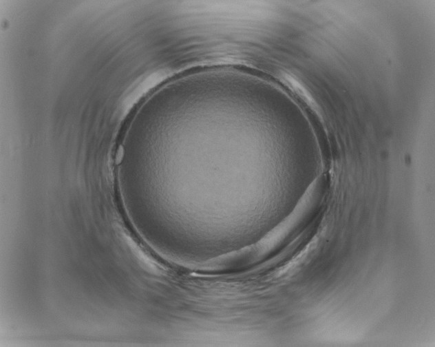 X0000089730789200706211432