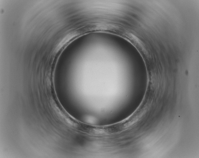 X0000089730794200706211432
