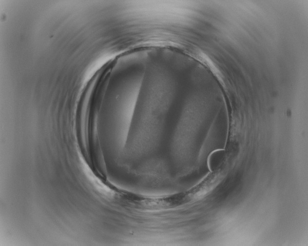 X0000089730795200706211432
