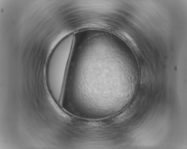 X0000089730796200706211432