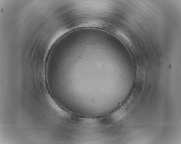 X0000089730800200706211432