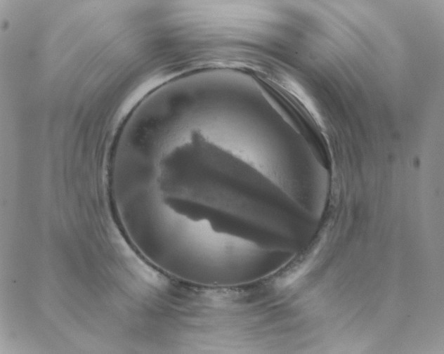 X0000089730803200706211432