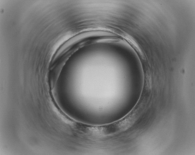 X0000089730805200706211432