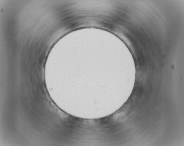 X0000089730807200706211432