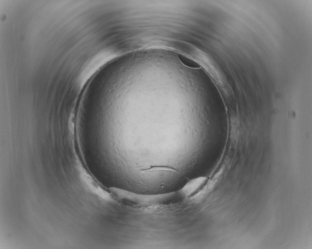 X0000089730814200706211432