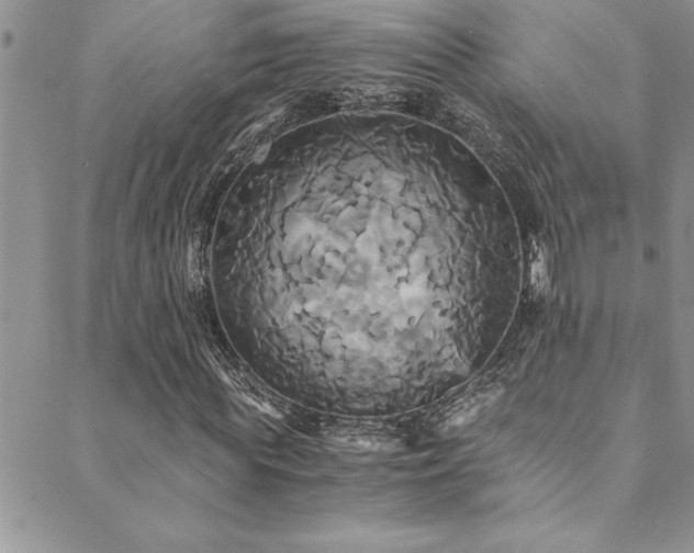 X0000089730819200706211431
