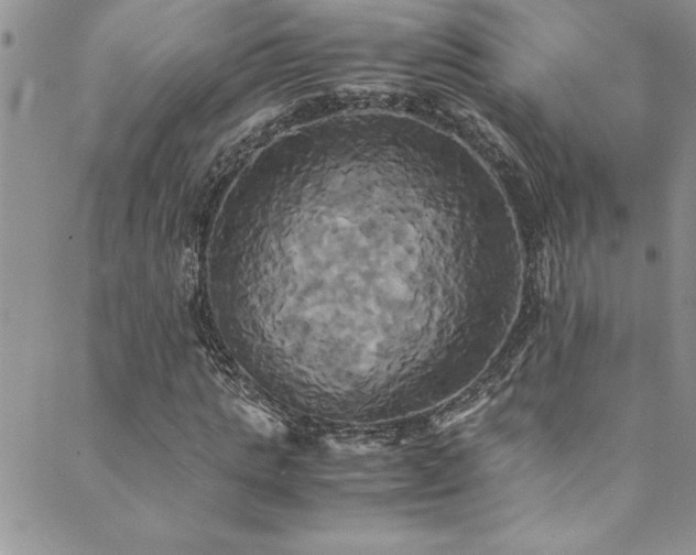 X0000089730821200706211431