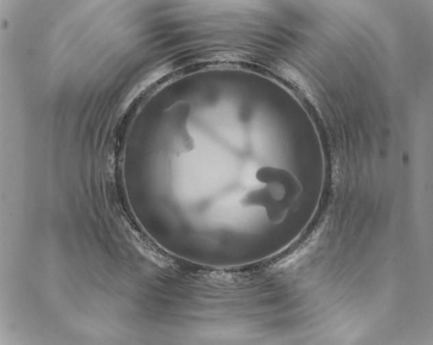 X0000089730827200706211431