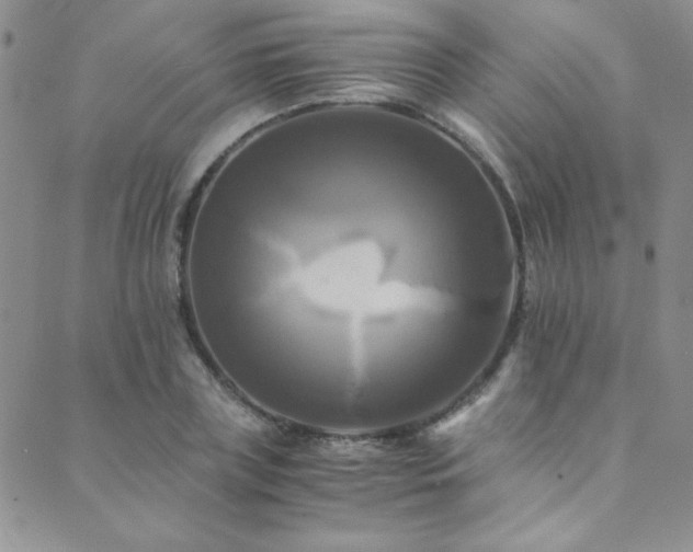 X0000089730835200706211431