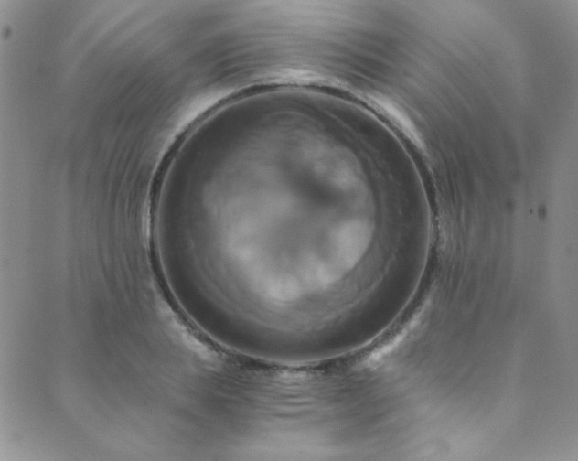X0000089730839200706211431
