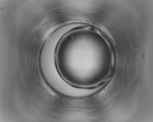 X0000089730842200706211431