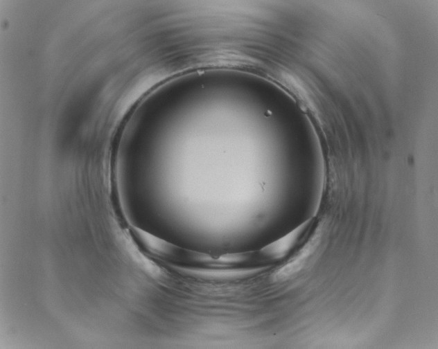 X0000089730843200706211432