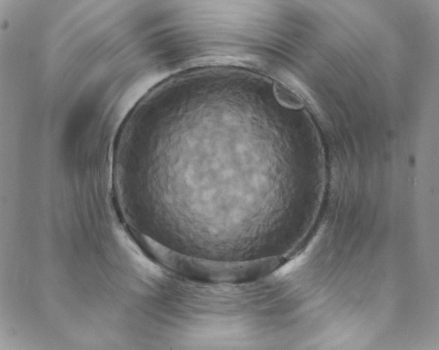 X0000089730844200706211432