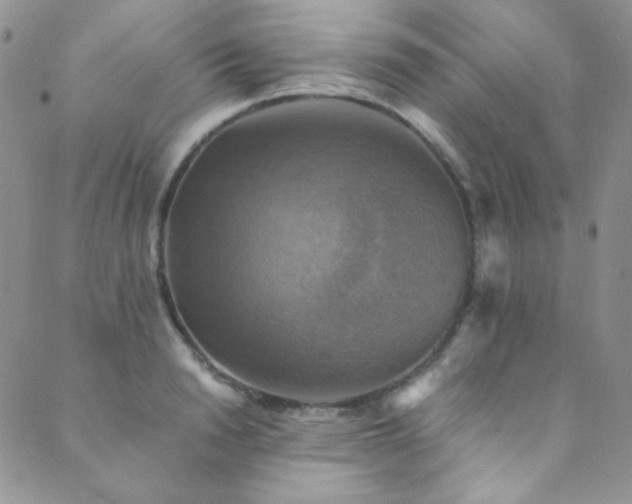 X0000089730846200706211432